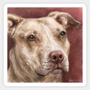 Painting of a Beautiful Red Nose Pit Bull With Soulful Eyes, Dark Red Background Sticker